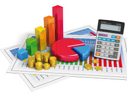 Informatia privind executarea bugetului