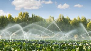 În atenția producătorilor agricol