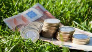 Buletin informativ agricol