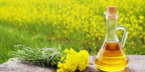 Buletin informativ agricol