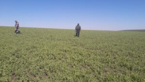 Buletin informativ agricol