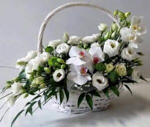 Ziua lucrătorului medical și a farmacistului