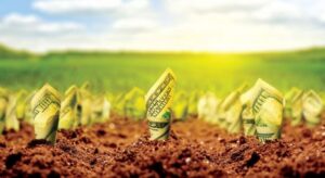 Buletin informativ  agricol