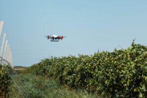 Buletin informativ agricol