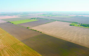 Buletin informativ agricol