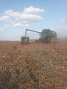 O zi de toamnă hrănește un an