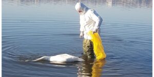 DECIZIA Comisiei pentru Situații Excepționale din 26.12.2023