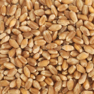 Buletin agricol informativ